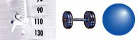 Machine Weights, Free Weights and Stability Exercises